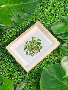 Mini Serie Diamond Painting - Plantas 2