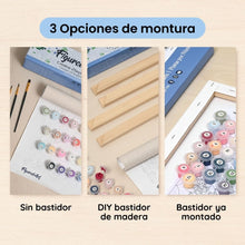 Cargar imagen en el visor de la galería, Pintar Por Números - Zapatos Femeninos En Una Silla - Figuredart - Baile