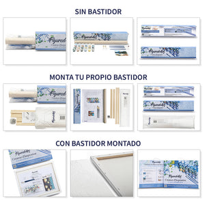 Tablas de surf coloridas