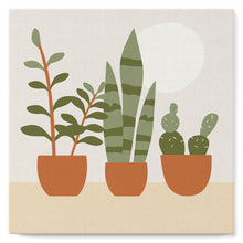 Cargar imagen en el visor de la galería, Mini Pintura por Números 20x20cm con bastidor Plantas grasas