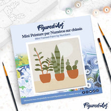 Cargar imagen en el visor de la galería, Mini Pintura por Números 20x20cm con bastidor Plantas grasas