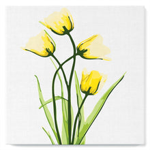 Cargar imagen en el visor de la galería, Mini Pintura por Números 20x20cm con bastidor Flores bonitas y amarillas