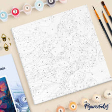 Cargar imagen en el visor de la galería, Mini Pintura por Números 20x20cm con bastidor - Hibisco al atardecer