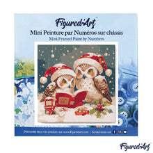 Cargar imagen en el visor de la galería, Mini Pintura por Números 20x20cm con bastidor - Búhos de Papá Noel leyendo