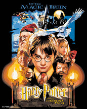 Cargar imagen en el visor de la galería, Pintar por numeros Figured'Art - Harry Potter y la Piedra Filosofal - Cartel