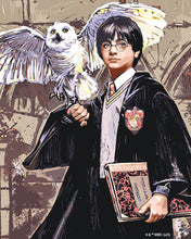 Cargar imagen en el visor de la galería, Pintar por numeros Figured'Art - Harry Potter y Hedwig