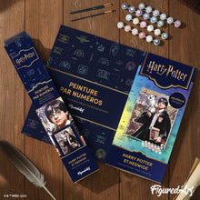 Cargar imagen en el visor de la galería, Harry Potter y Hedwig