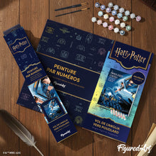Cargar imagen en el visor de la galería, Harry Potter - Vuelo desde Inglaterra hacia Hogwarts