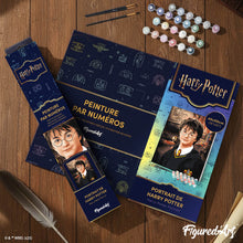 Cargar imagen en el visor de la galería, Retrato de Harry Potter