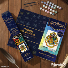 Cargar imagen en el visor de la galería, Harry Potter - Escudos de Hogwarts
