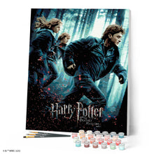 Cargar imagen en el visor de la galería, Harry Potter y las Reliquias de la Muerte Parte 1 - Cartel