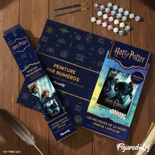 Cargar imagen en el visor de la galería, Harry Potter y las Reliquias de la Muerte Parte 1 - Cartel