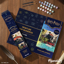 Cargar imagen en el visor de la galería, Harry Potter - Hogwarts Express