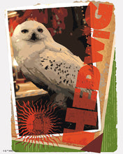 Cargar imagen en el visor de la galería, Pintar por numeros Figured'Art - Harry Potter - Carta de Hedwig