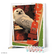Cargar imagen en el visor de la galería, Harry Potter - Carta de Hedwig