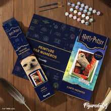 Cargar imagen en el visor de la galería, Harry Potter - Carta de Hedwig