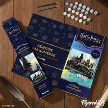 Cargar imagen en el visor de la galería, Harry Potter - Castillo de Hogwarts