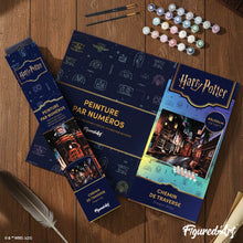 Cargar imagen en el visor de la galería, Harry Potter - Callejón Diagon