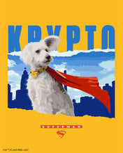 Cargar imagen en el visor de la galería, Pintar por numeros Figured'Art - Superman - Krypto con el skyline