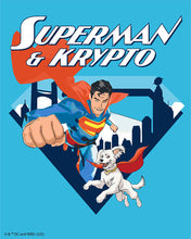 Cargar imagen en el visor de la galería, Pintar por numeros Figured'Art - Superman &amp; Krypto con el skyline 1
