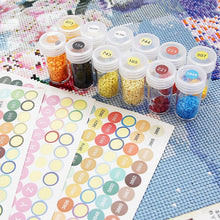 Cargar imagen en el visor de la galería, 572 Etiquetas Redondas DMC Diamond Painting