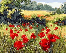 Cargar imagen en el visor de la galería, Pintar por números | Campo de amapolas | Novedades Paisajes Flores Intermedio | FiguredArt