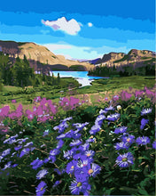 Cargar imagen en el visor de la galería, Campos de flores junto al lago