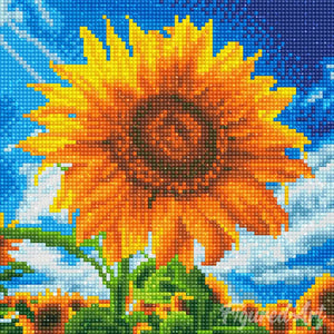 Mini Diamond Painting 25x25cm - Girasol Besado por el Sol