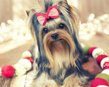 Cargar imagen en el visor de la galería, Diamond Painting - Perro mono