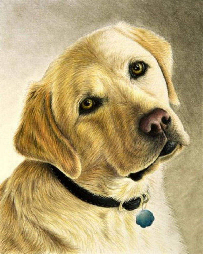 Diamond Painting - Retrato de un labrador