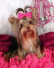 Cargar imagen en el visor de la galería, Diamond Painting - Perro en un fondo rosa