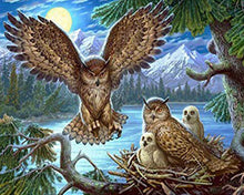 Cargar imagen en el visor de la galería, Diamond Painting - Pareja de búhos