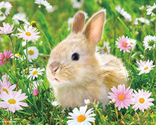 Cargar imagen en el visor de la galería, Diamond Painting - Conejo y margaritas