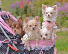 Cargar imagen en el visor de la galería, Diamond Painting - Carrito con perros