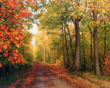 Cargar imagen en el visor de la galería, Diamond Painting - Camino en el bosque