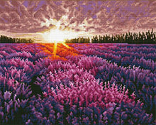 Cargar imagen en el visor de la galería, Diamond Painting - Campo de Lavanda