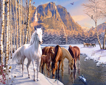 Cargar imagen en el visor de la galería, Pintar por números Caballos al final del invierno Figured&#39;Art Intermedio Novedades Animales Caballos Paisajes