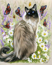 Cargar imagen en el visor de la galería, Pintar por números Descubrimiento de mariposas Figured&#39;Art Intermedio Novedades Animales Gatos Mariposas Flores