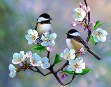 Cargar imagen en el visor de la galería, Punto de Cruz Diamante - Diamond Painting - Pequeños pájaros y flores blancas 40x50cm con bastidor montado