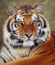 Cargar imagen en el visor de la galería, Punto de Cruz Diamante - Diamond Painting - Ojo de Tigre 40x50cm con bastidor montado