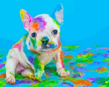 Cargar imagen en el visor de la galería, Pintar por números - Pintura de perro