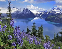 Cargar imagen en el visor de la galería, Pintar por números - Flores y montañas