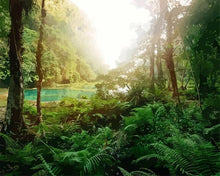 Cargar imagen en el visor de la galería, Pintar por números - Bosque tropical