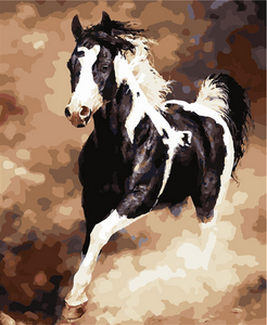 Pintar por números - Gran caballo en blanco y negro