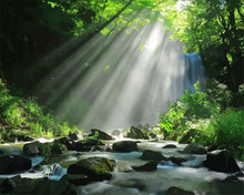 Cargar imagen en el visor de la galería, Pintar por números - Luz en el bosque verde