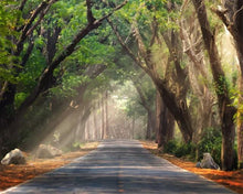 Cargar imagen en el visor de la galería, Pintar por números - Luz debajo del camino