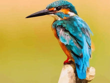 Cargar imagen en el visor de la galería, Pintar por números - Pico largo