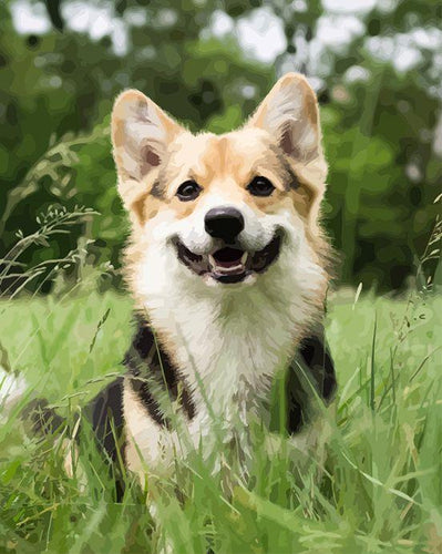 Pintar por números - Amamos perros