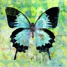 Cargar imagen en el visor de la galería, Pintar por números - Mariposa verde y negra