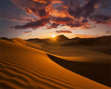 Cargar imagen en el visor de la galería, Pintar por números - Paisaje de desierto